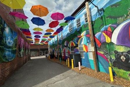 Umbrella Alley - Mural and Umbrellas With Bear