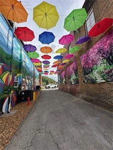 Umbrella Alley - View Down The Alley Spring