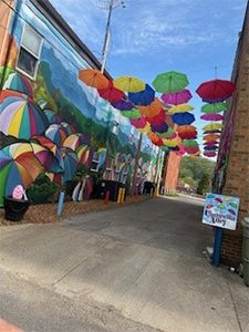 Umbrella Alley - View of Alley Entrance Spring